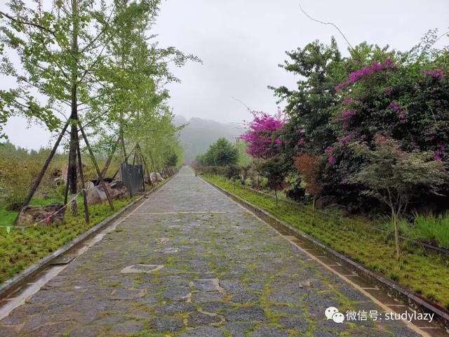 武隆玉石翡翠原石的简单介绍-第14张图片-翡翠网 武隆玉石翡翠原石的简单介绍-第14张图片-翡翠网