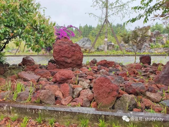 武隆玉石翡翠原石的简单介绍-第15张图片-翡翠网 武隆玉石翡翠原石的简单介绍-第15张图片-翡翠网