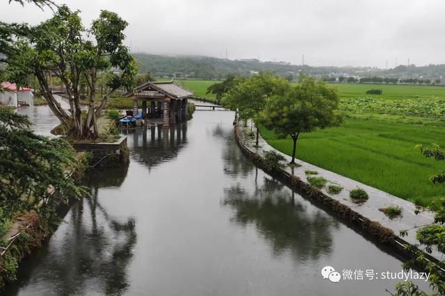 武隆玉石翡翠原石的简单介绍-第16张图片-翡翠网 武隆玉石翡翠原石的简单介绍-第16张图片-翡翠网