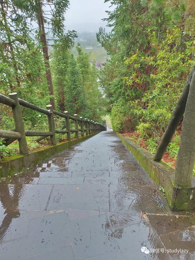 武隆玉石翡翠原石的简单介绍-第18张图片-翡翠网 武隆玉石翡翠原石的简单介绍-第18张图片-翡翠网