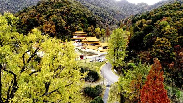 包含帝师讲解翡翠原石的词条-第12张图片-翡翠网 包含帝师讲解翡翠原石的词条-第12张图片-翡翠网