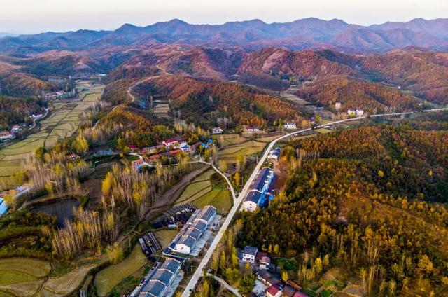 包含帝师讲解翡翠原石的词条-第13张图片-翡翠网 包含帝师讲解翡翠原石的词条-第13张图片-翡翠网