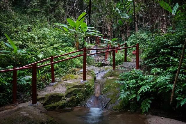 翡翠原石价值鞍山天然翡翠原石多少钱-第9张图片-翡翠网 翡翠原石价值鞍山天然翡翠原石多少钱-第9张图片-翡翠网