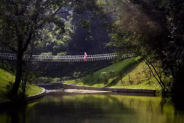 翡翠原石价值鞍山天然翡翠原石多少钱-第21张图片-翡翠网 翡翠原石价值鞍山天然翡翠原石多少钱-第21张图片-翡翠网