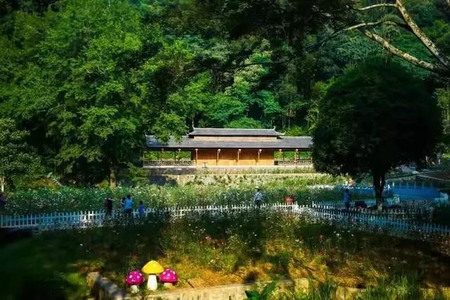 翡翠原石价值鞍山天然翡翠原石多少钱-第22张图片-翡翠网 翡翠原石价值鞍山天然翡翠原石多少钱-第22张图片-翡翠网