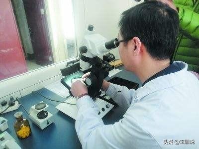 职业资格鉴定翡翠知识,珠宝鉴定师有前途吗-第3张图片-翡翠网 职业资格鉴定翡翠知识,珠宝鉴定师有前途吗-第3张图片-翡翠网