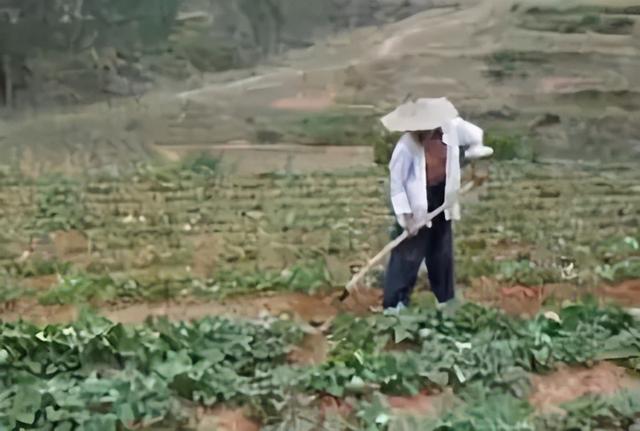 出土的翡翠图片与价格,出土翡翠价格-第3张图片-翡翠网 出土的翡翠图片与价格,出土翡翠价格-第3张图片-翡翠网