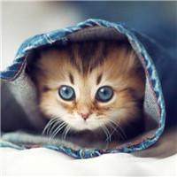 杜鹃王翡翠缘皮丘价格的简单介绍-第2张图片-翡翠网 杜鹃王翡翠缘皮丘价格的简单介绍-第2张图片-翡翠网