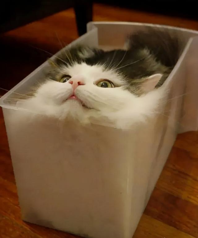 刷抖音一样的黄软件,抖音刷人气软件免费-第33张图片-翡翠网 刷抖音一样的黄软件,抖音刷人气软件免费-第33张图片-翡翠网