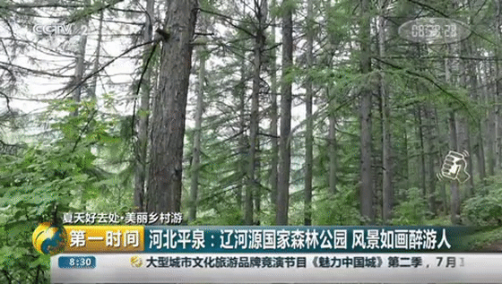 翡翠原石怎样剥皮,临城翡翠原石剥皮-第6张图片-翡翠网