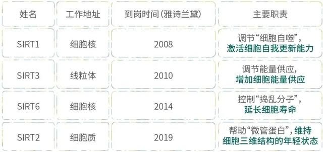 雅诗兰黛小样图片介绍,雅诗兰黛真假翡翠知识-第9张图片-翡翠网 雅诗兰黛小样图片介绍,雅诗兰黛真假翡翠知识-第9张图片-翡翠网