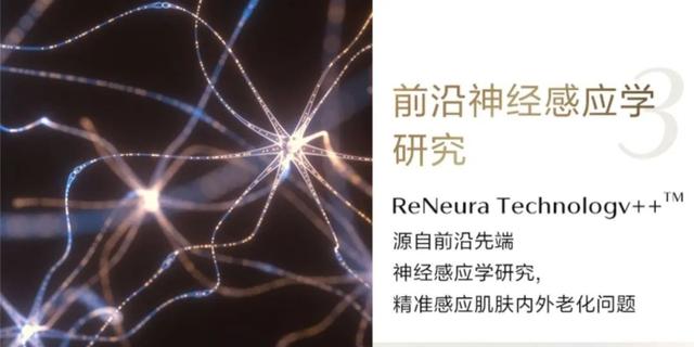 雅诗兰黛小样图片介绍,雅诗兰黛真假翡翠知识-第26张图片-翡翠网 雅诗兰黛小样图片介绍,雅诗兰黛真假翡翠知识-第26张图片-翡翠网