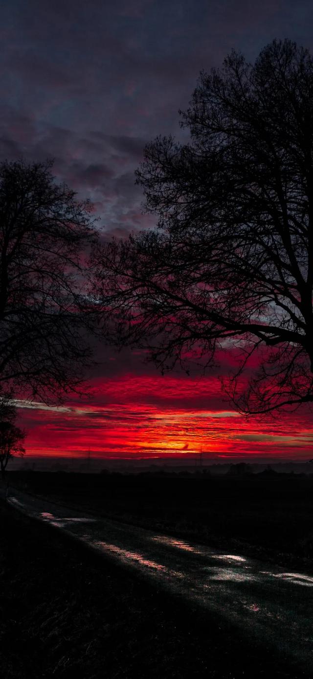 2020最火仙女壁纸抖音网红锁屏壁纸-第7张图片-翡翠网