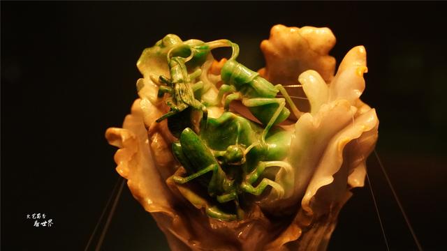 翡翠白菜现在在哪里,台北故宫翡翠白菜价格-第8张图片-翡翠网 翡翠白菜现在在哪里,台北故宫翡翠白菜价格-第8张图片-翡翠网