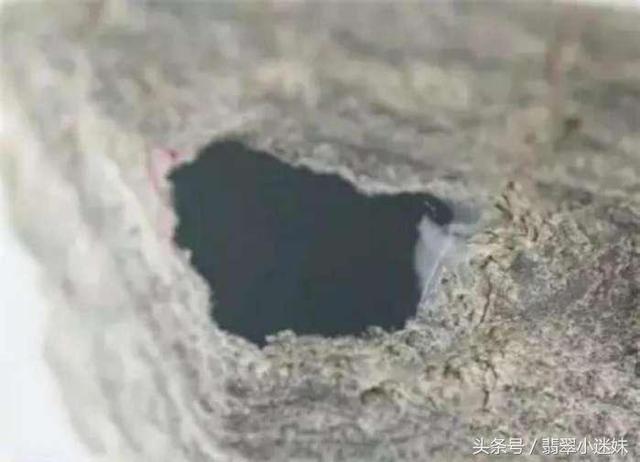 包含翡翠原石打灯表现绿色的词条-第18张图片-翡翠网 包含翡翠原石打灯表现绿色的词条-第18张图片-翡翠网