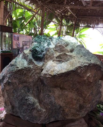 铁龙生属于翡翠的什么等级,铁生龙翡翠的价格-第6张图片-翡翠网 铁龙生属于翡翠的什么等级,铁生龙翡翠的价格-第6张图片-翡翠网