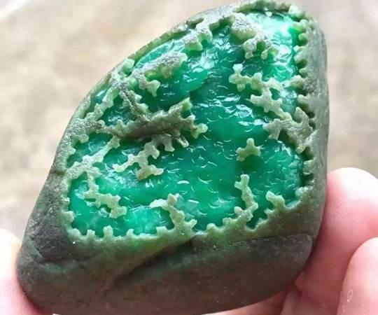 铁龙生属于翡翠的什么等级,铁生龙翡翠的价格-第12张图片-翡翠网 铁龙生属于翡翠的什么等级,铁生龙翡翠的价格-第12张图片-翡翠网