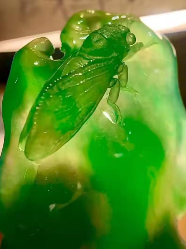 翡翠a货玉蝉一般价格为多少,翡翠a货吊坠500元贵吗-第1张图片-翡翠网 翡翠a货玉蝉一般价格为多少,翡翠a货吊坠500元贵吗-第1张图片-翡翠网