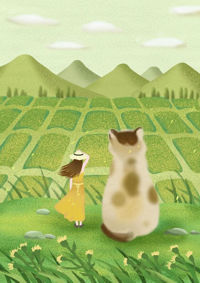 庆玺珠宝品牌如何庆玺春意盎然翡翠手镯-第15张图片-翡翠网 庆玺珠宝品牌如何庆玺春意盎然翡翠手镯-第15张图片-翡翠网