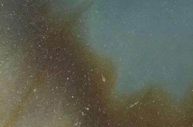 未抛光翡翠原石,翡翠毛料原石-第6张图片-翡翠网 未抛光翡翠原石,翡翠毛料原石-第6张图片-翡翠网