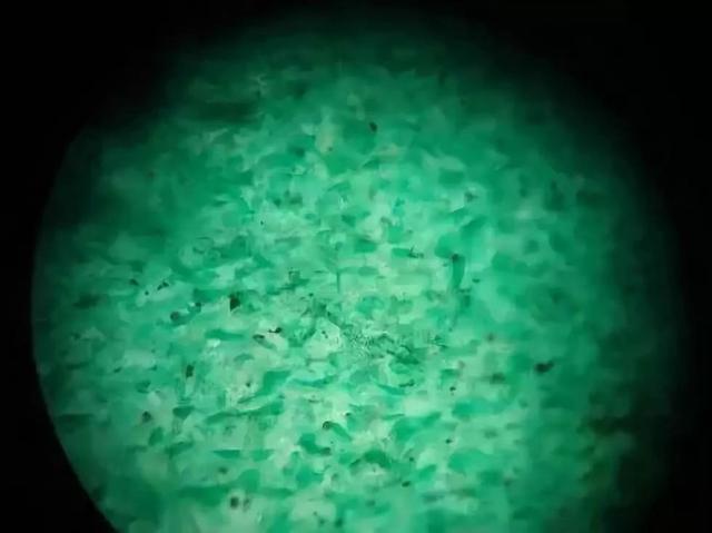 未抛光翡翠原石,翡翠毛料原石-第7张图片-翡翠网 未抛光翡翠原石,翡翠毛料原石-第7张图片-翡翠网