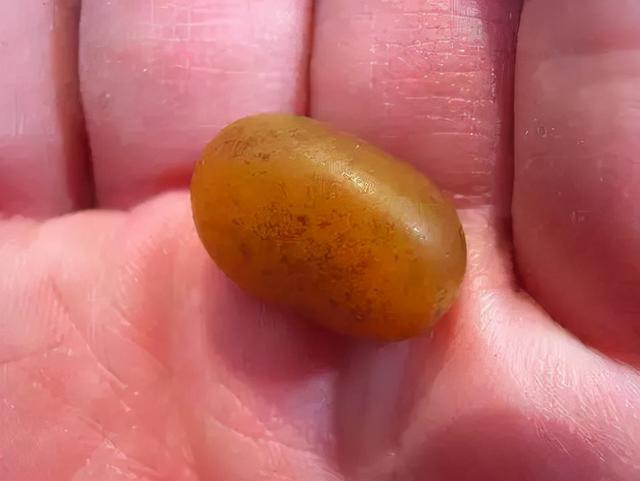 翡翠原石一灯透冒冲冰种,翡翠原石叫什么-第7张图片-翡翠网 翡翠原石一灯透冒冲冰种,翡翠原石叫什么-第7张图片-翡翠网