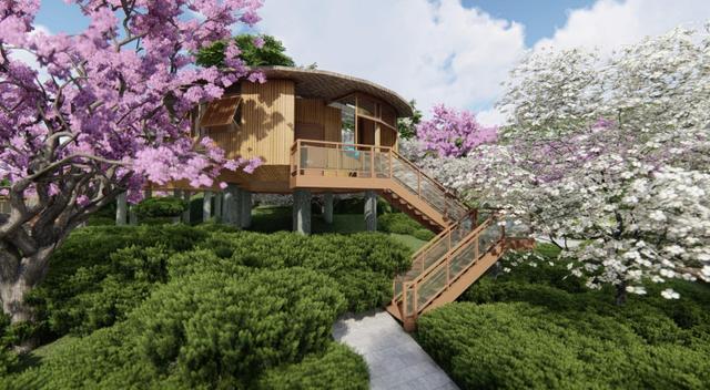 宁乡翡翠的原石的简单介绍-第2张图片-翡翠网 宁乡翡翠的原石的简单介绍-第2张图片-翡翠网