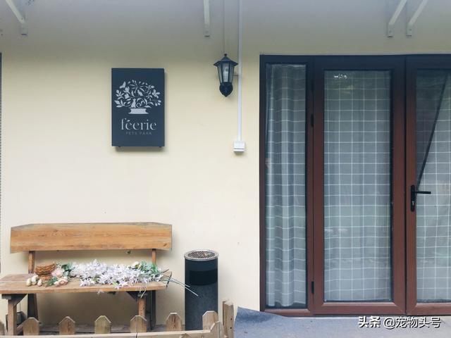 翡翠森林宠物火化价格,宠物火化价格大概多少-第1张图片-翡翠网 翡翠森林宠物火化价格,宠物火化价格大概多少-第1张图片-翡翠网