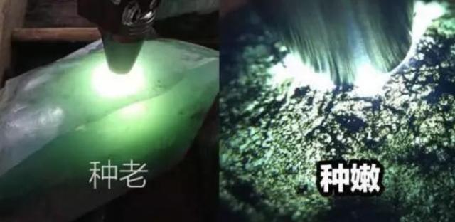 翡翠小知识图片翡翠基础知识讲堂-第2张图片-翡翠网 翡翠小知识图片翡翠基础知识讲堂-第2张图片-翡翠网