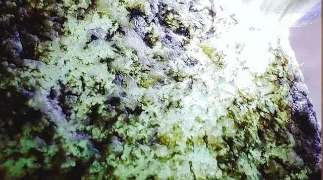 翡翠原石白雾打灯表现后江翡翠原石打灯黄雾-第4张图片-翡翠网 翡翠原石白雾打灯表现后江翡翠原石打灯黄雾-第4张图片-翡翠网