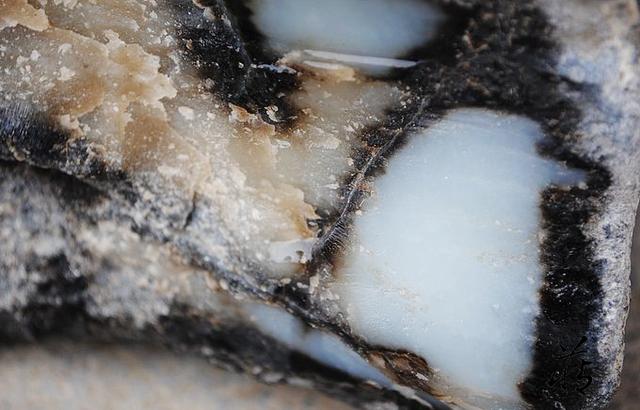 纯黑皮翡翠原石最能出什么色的简单介绍-第3张图片-翡翠网 纯黑皮翡翠原石最能出什么色的简单介绍-第3张图片-翡翠网