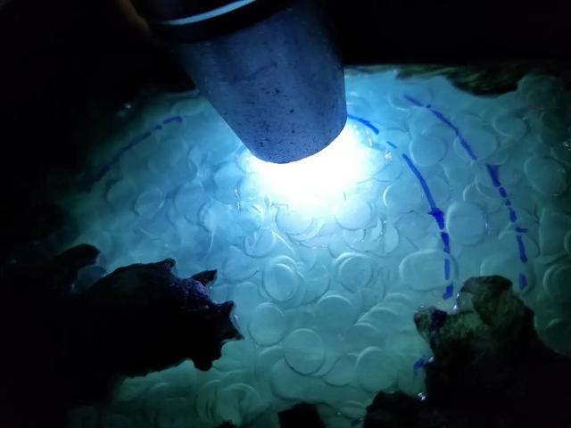 关于如何看翡翠原石的信息-第6张图片-翡翠网 关于如何看翡翠原石的信息-第6张图片-翡翠网