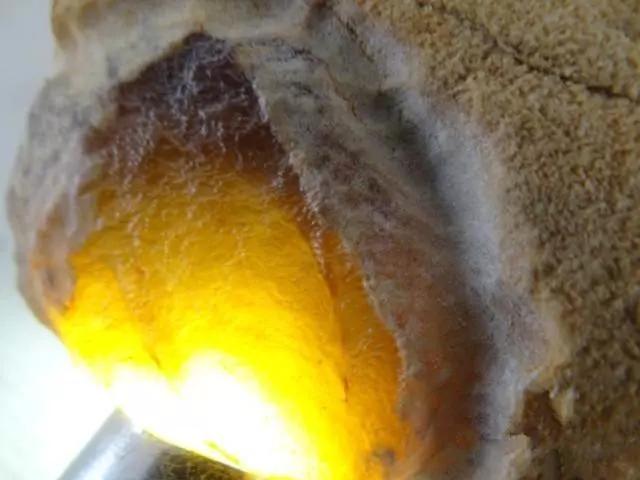 如何判断翡翠肉质皮肉不分的翡翠原石-第6张图片-翡翠网 如何判断翡翠肉质皮肉不分的翡翠原石-第6张图片-翡翠网