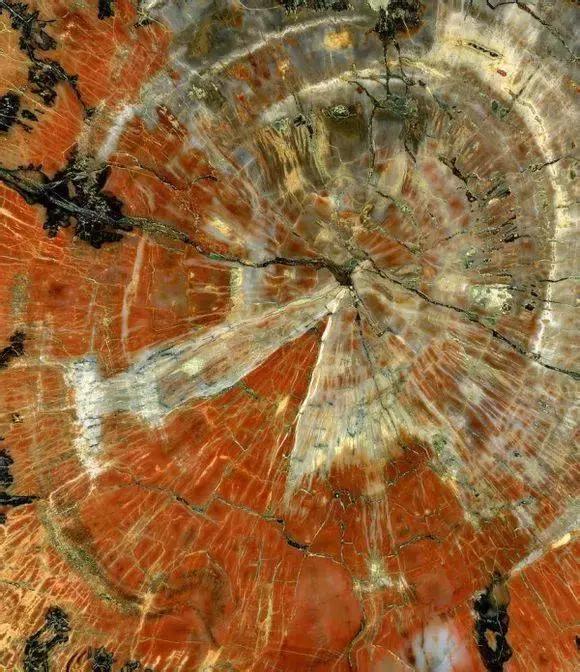 天山翡翠原石图片大全,好的翡翠原石-第18张图片-翡翠网 天山翡翠原石图片大全,好的翡翠原石-第18张图片-翡翠网