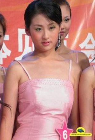 春晚女嘉宾翡翠项链林心如春晚翡翠知识-第7张图片-翡翠网 春晚女嘉宾翡翠项链林心如春晚翡翠知识-第7张图片-翡翠网