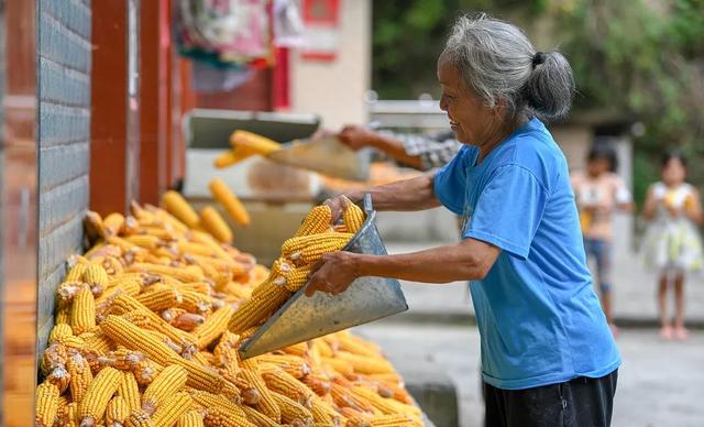 抖音快手回应大胃王吃播,抖音快手回应吃-第10张图片-翡翠网 抖音快手回应大胃王吃播,抖音快手回应吃-第10张图片-翡翠网