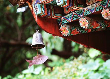 红翡翠价格,红翡翠值钱吗?-第1张图片-翡翠网 红翡翠价格,红翡翠值钱吗?-第1张图片-翡翠网