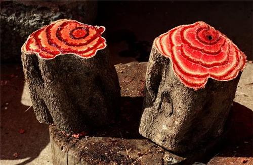 什么是鸡血藤手镯翡翠手镯藤条-第3张图片-翡翠网 什么是鸡血藤手镯翡翠手镯藤条-第3张图片-翡翠网