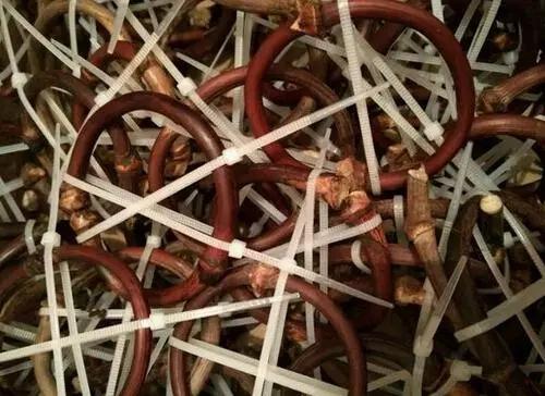 什么是鸡血藤手镯翡翠手镯藤条-第8张图片-翡翠网 什么是鸡血藤手镯翡翠手镯藤条-第8张图片-翡翠网