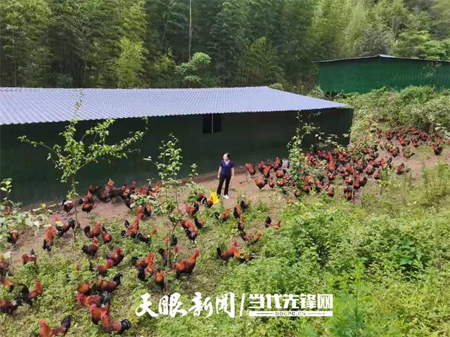 富二代最新网址成版人抖音富二代app软件-第2张图片-翡翠网 富二代最新网址成版人抖音富二代app软件-第2张图片-翡翠网