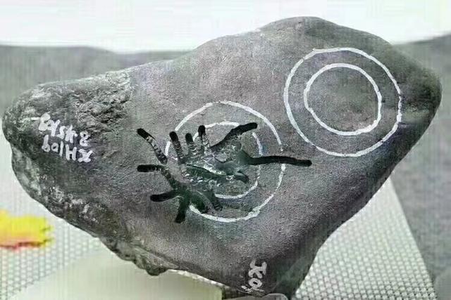 玉卷翡翠原石图片的简单介绍-第3张图片-翡翠网 玉卷翡翠原石图片的简单介绍-第3张图片-翡翠网