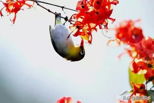 翡翠飘花手镯花多好还是花少好,玉是纯色好还是飘花好-第1张图片-翡翠网 翡翠飘花手镯花多好还是花少好,玉是纯色好还是飘花好-第1张图片-翡翠网