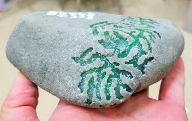 翡翠王朝里的原石好不好翡翠原石什么场口好-第3张图片-翡翠网 翡翠王朝里的原石好不好翡翠原石什么场口好-第3张图片-翡翠网