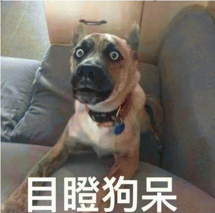 抖音卓拉全程视频在哪里看,抖音卓拉视频-第3张图片-翡翠网 抖音卓拉全程视频在哪里看,抖音卓拉视频-第3张图片-翡翠网