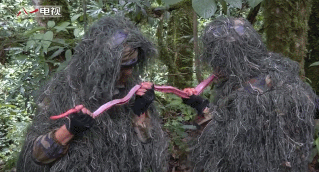 抖音卓拉全程视频在哪里看,抖音卓拉视频-第6张图片-翡翠网 抖音卓拉全程视频在哪里看,抖音卓拉视频-第6张图片-翡翠网