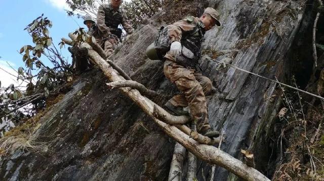 抖音卓拉全程视频在哪里看,抖音卓拉视频-第8张图片-翡翠网 抖音卓拉全程视频在哪里看,抖音卓拉视频-第8张图片-翡翠网