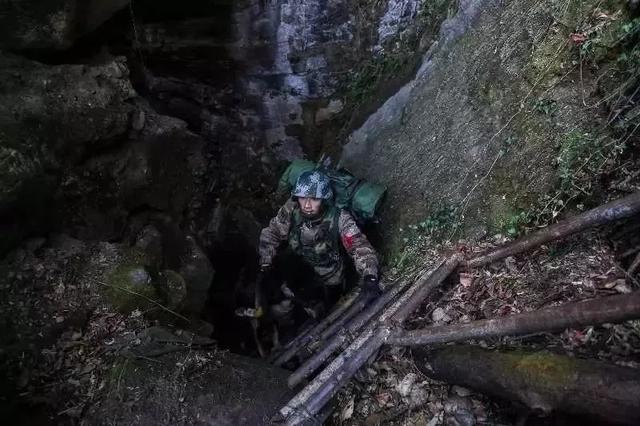 抖音卓拉全程视频在哪里看,抖音卓拉视频-第9张图片-翡翠网 抖音卓拉全程视频在哪里看,抖音卓拉视频-第9张图片-翡翠网