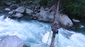 抖音卓拉全程视频在哪里看,抖音卓拉视频-第11张图片-翡翠网 抖音卓拉全程视频在哪里看,抖音卓拉视频-第11张图片-翡翠网