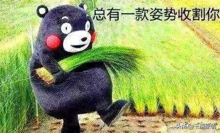 千禧翡翠手镯定制的直播间,冰种翡翠手镯-第7张图片-翡翠网 千禧翡翠手镯定制的直播间,冰种翡翠手镯-第7张图片-翡翠网