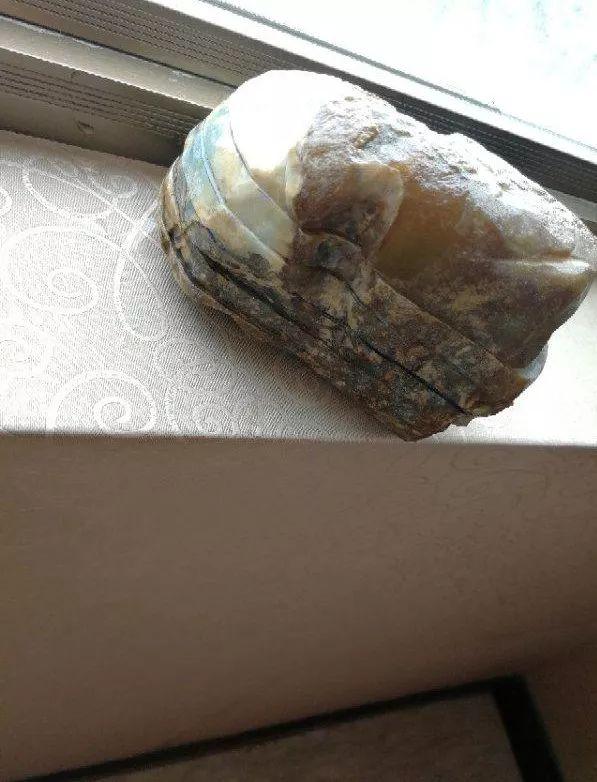 翡翠原石去皮抛光哪里加翡翠原石加v视频-第2张图片-翡翠网 翡翠原石去皮抛光哪里加翡翠原石加v视频-第2张图片-翡翠网